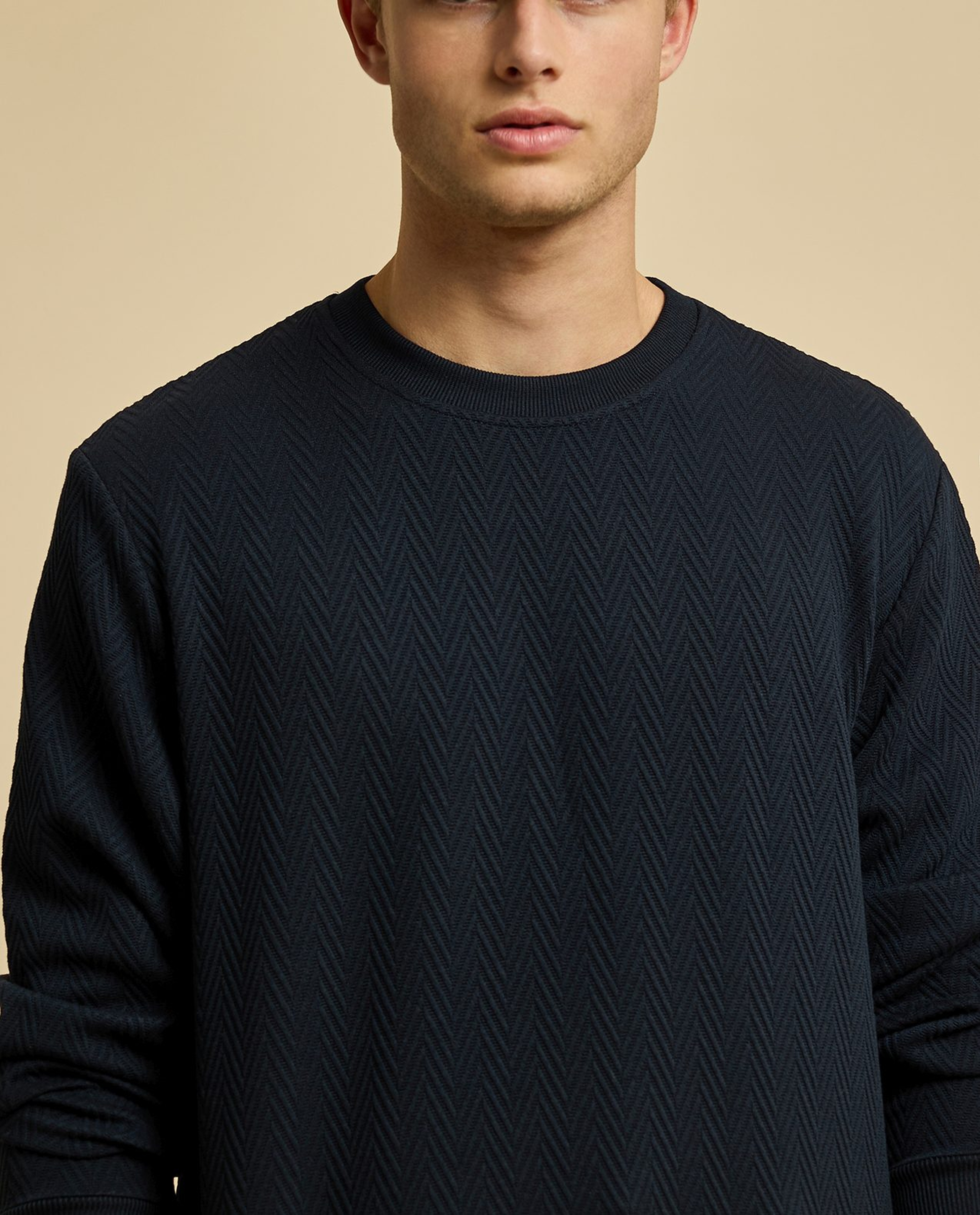 Textured Sweatshirt with Crew Neck and Long Sleeves