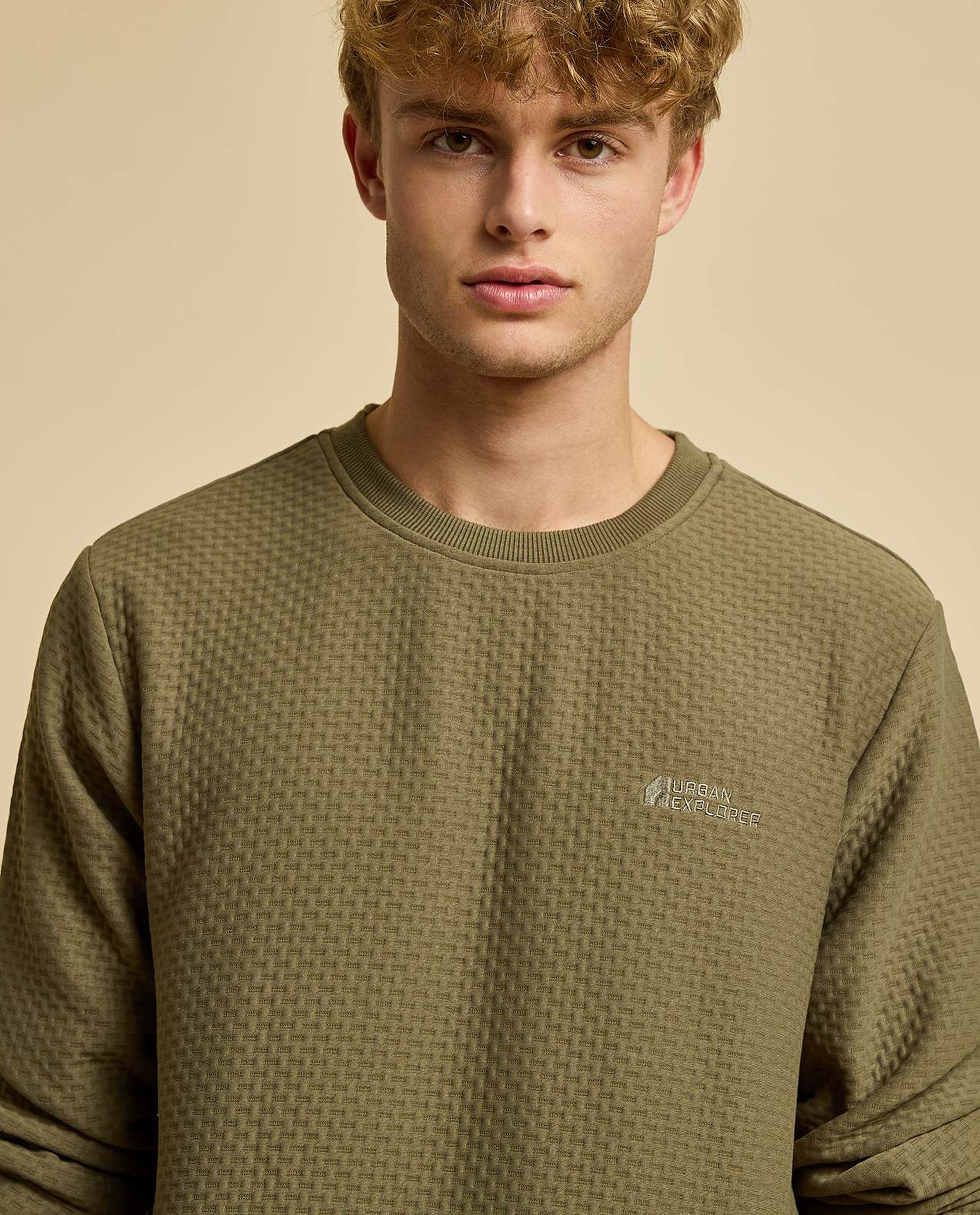 Textured Sweatshirt with Crew Neck and Long Sleeves