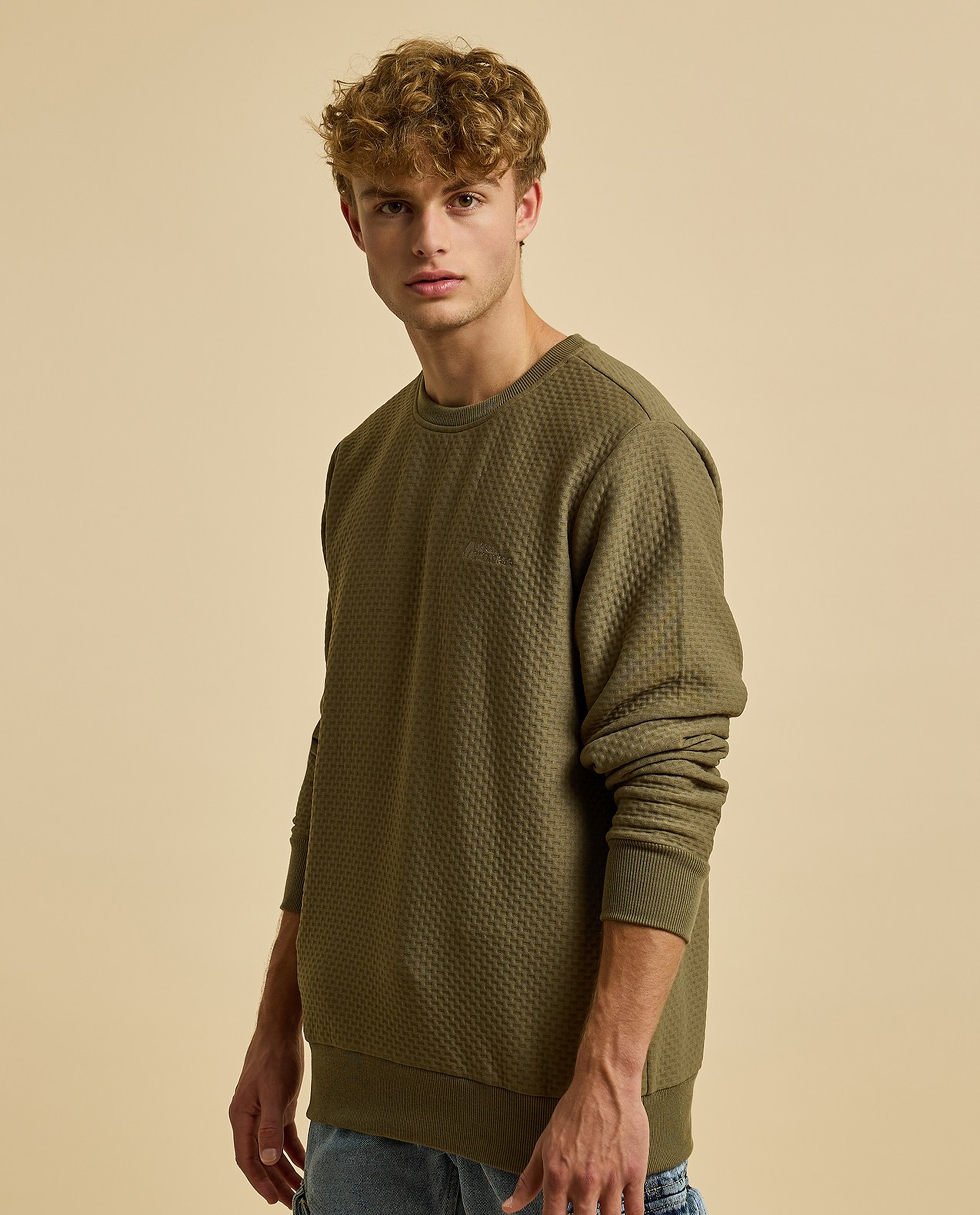 Textured Sweatshirt with Crew Neck and Long Sleeves