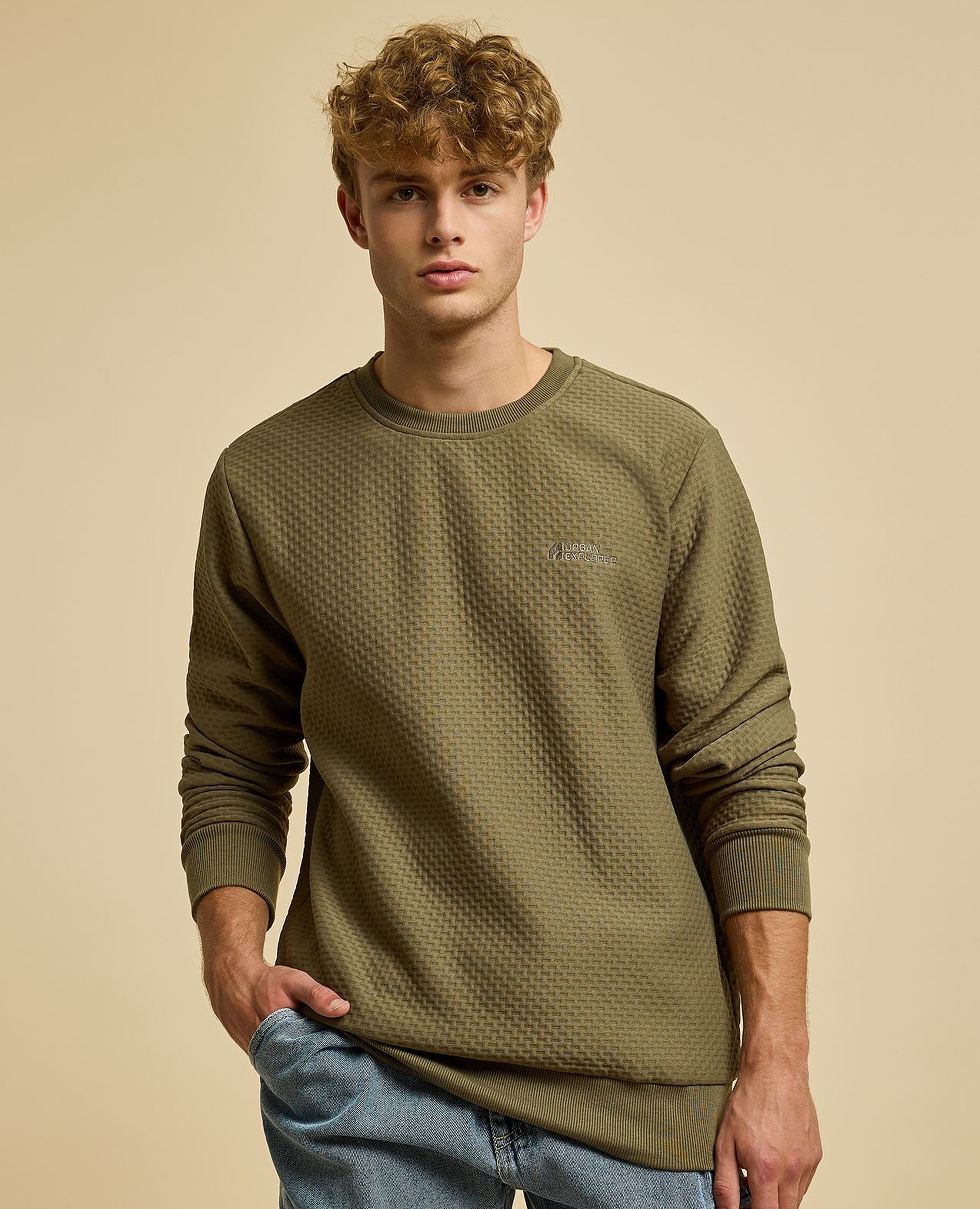 Textured Sweatshirt with Crew Neck and Long Sleeves