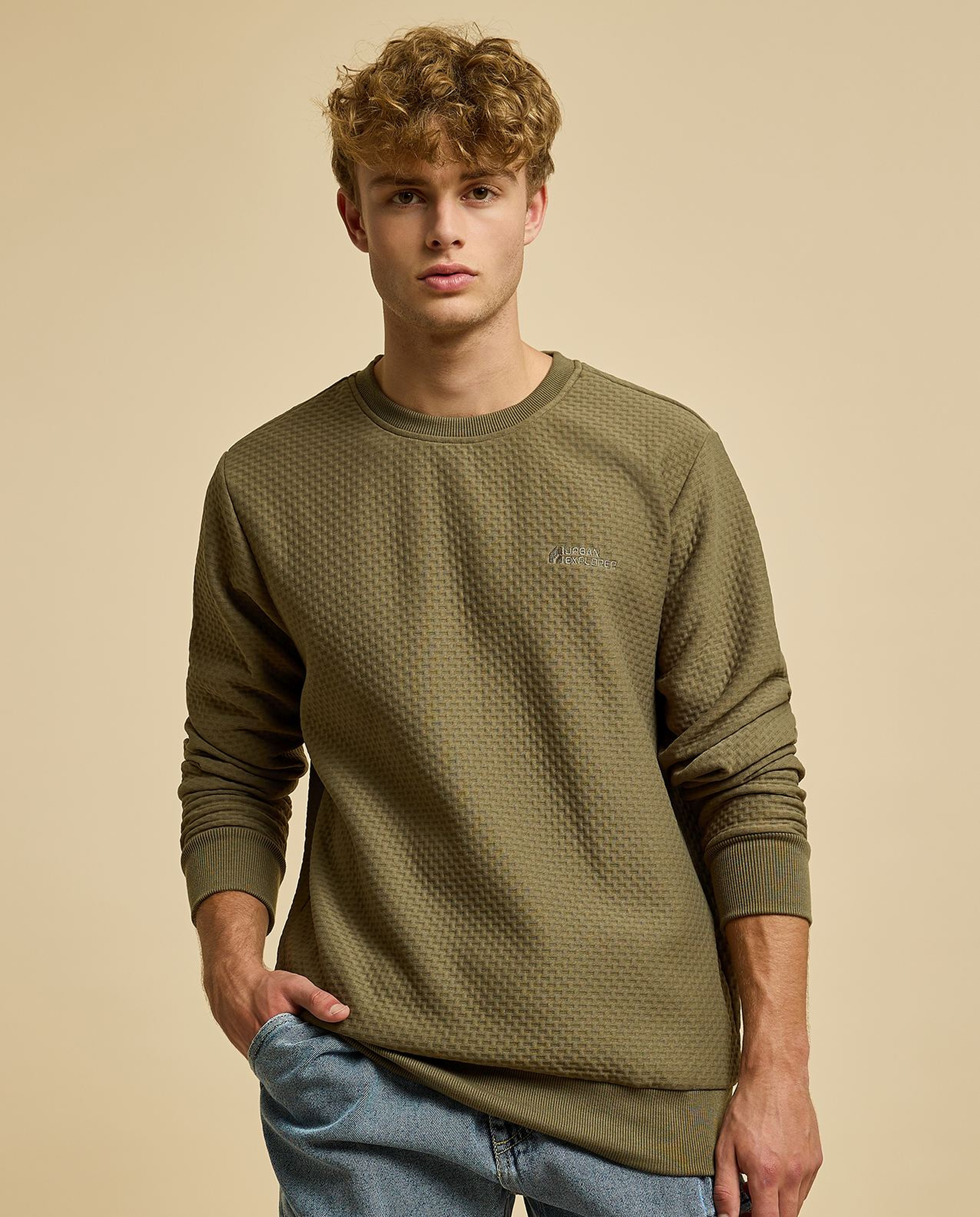 Textured Sweatshirt with Crew Neck and Long Sleeves