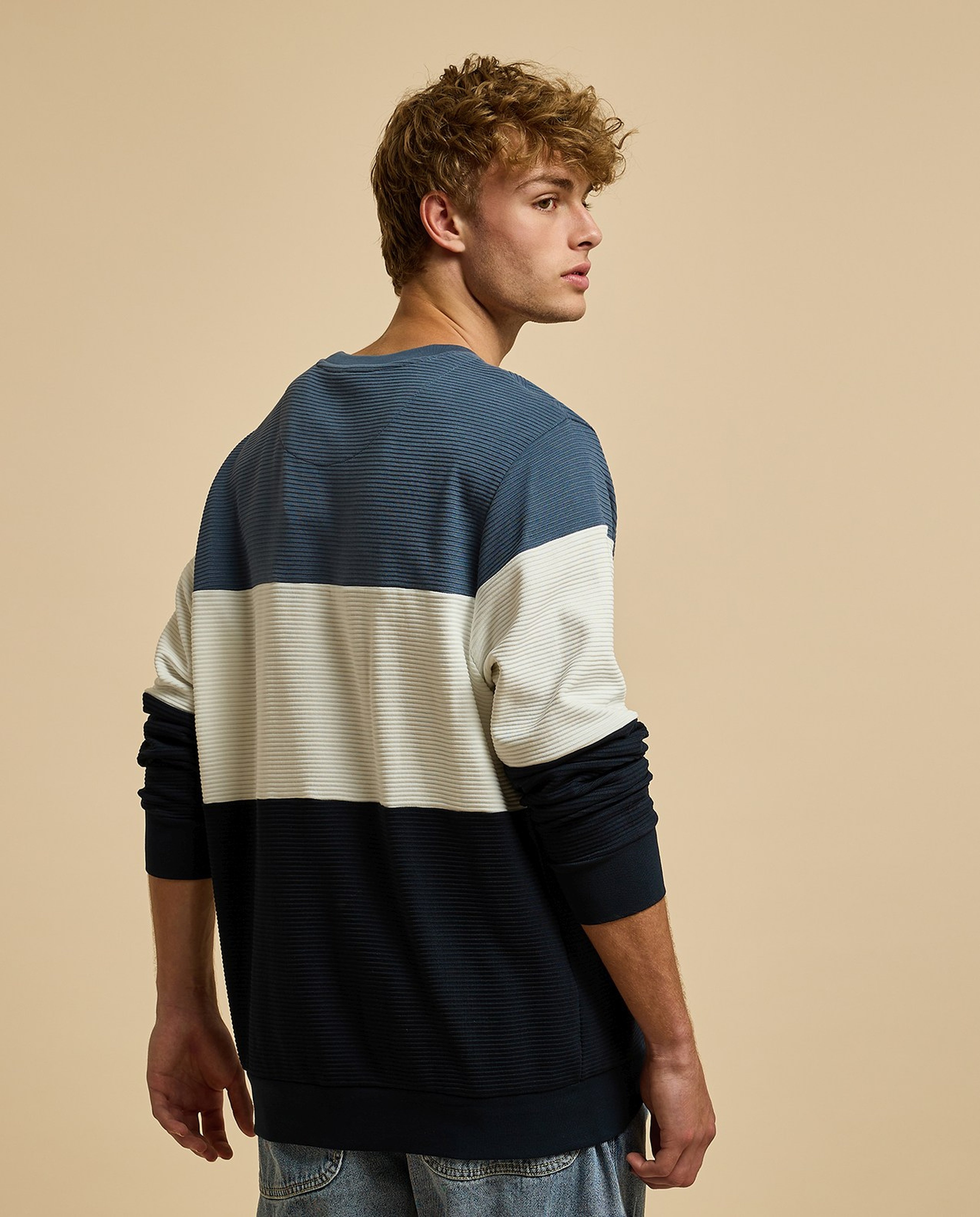 Color Block Sweatshirt with Crew Neck and Long Sleeves