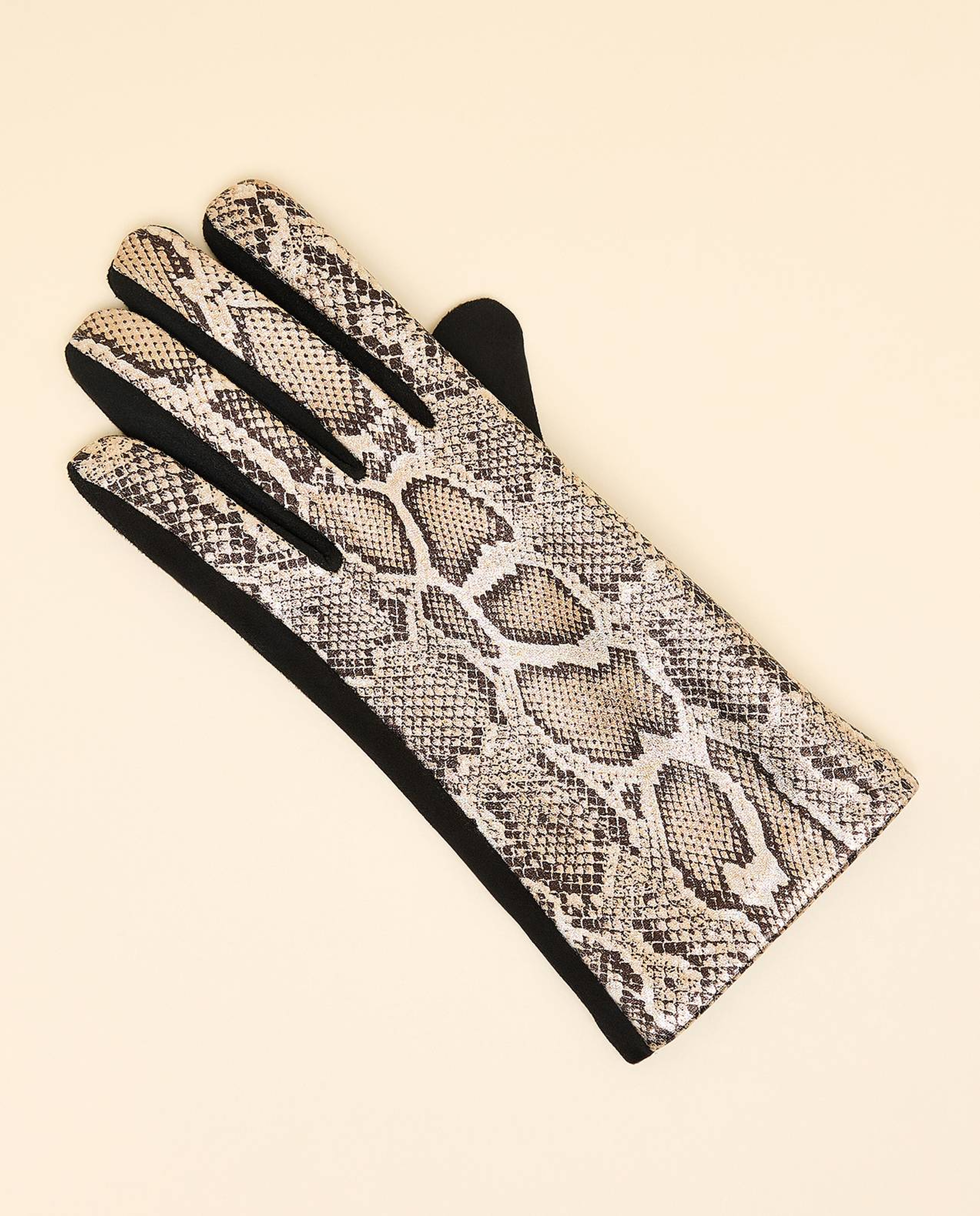 Studded Gloves