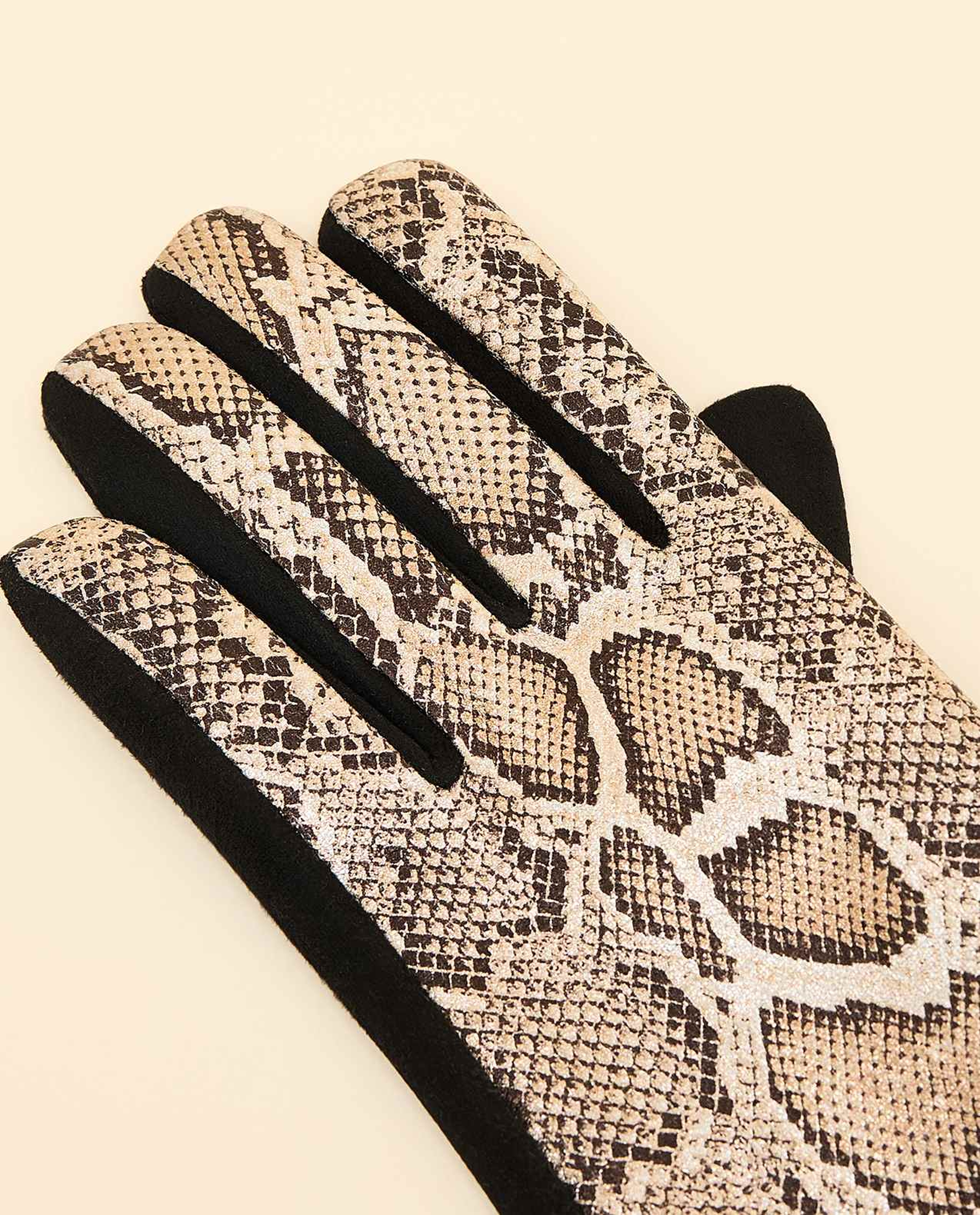 Studded Gloves