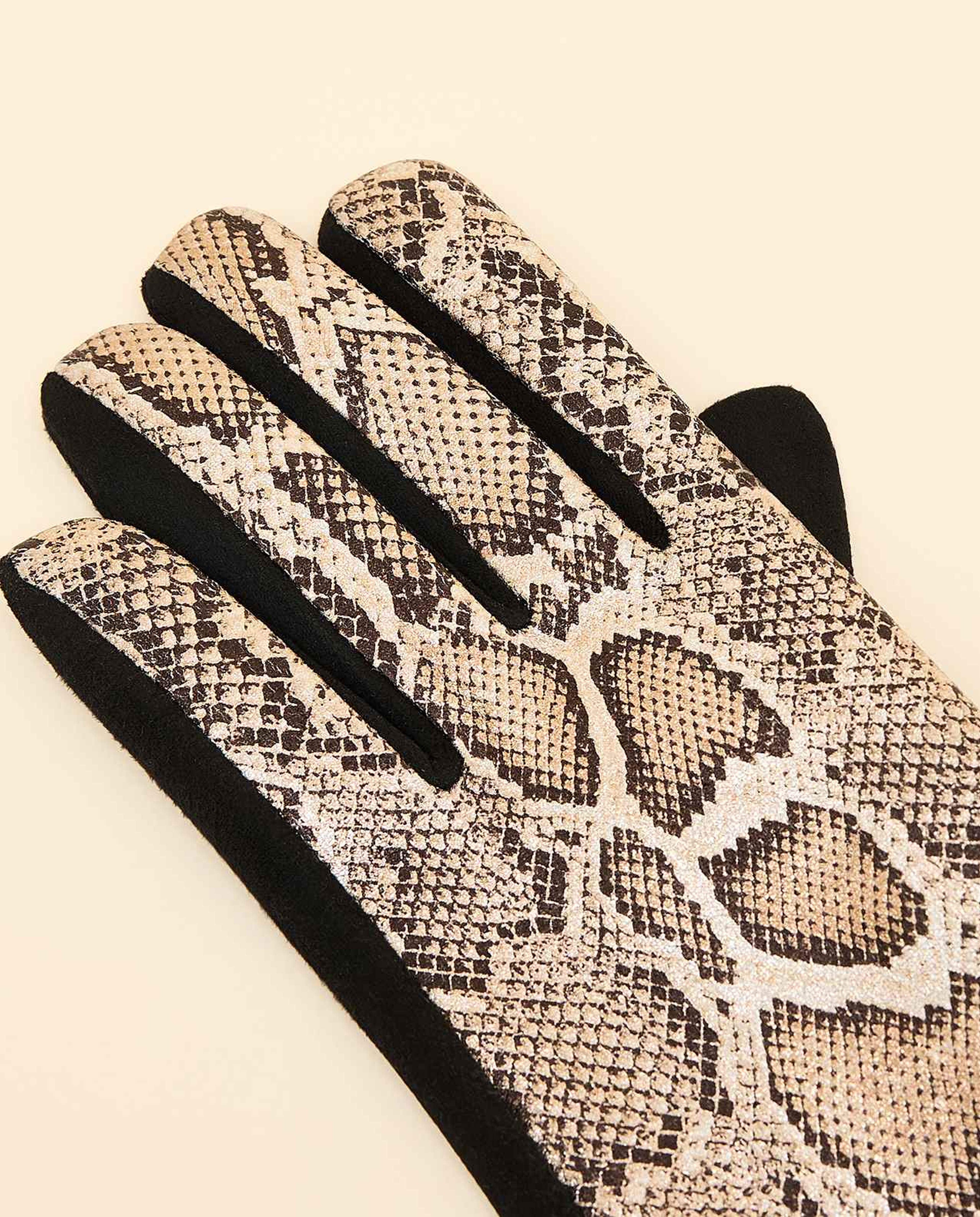 Studded Gloves