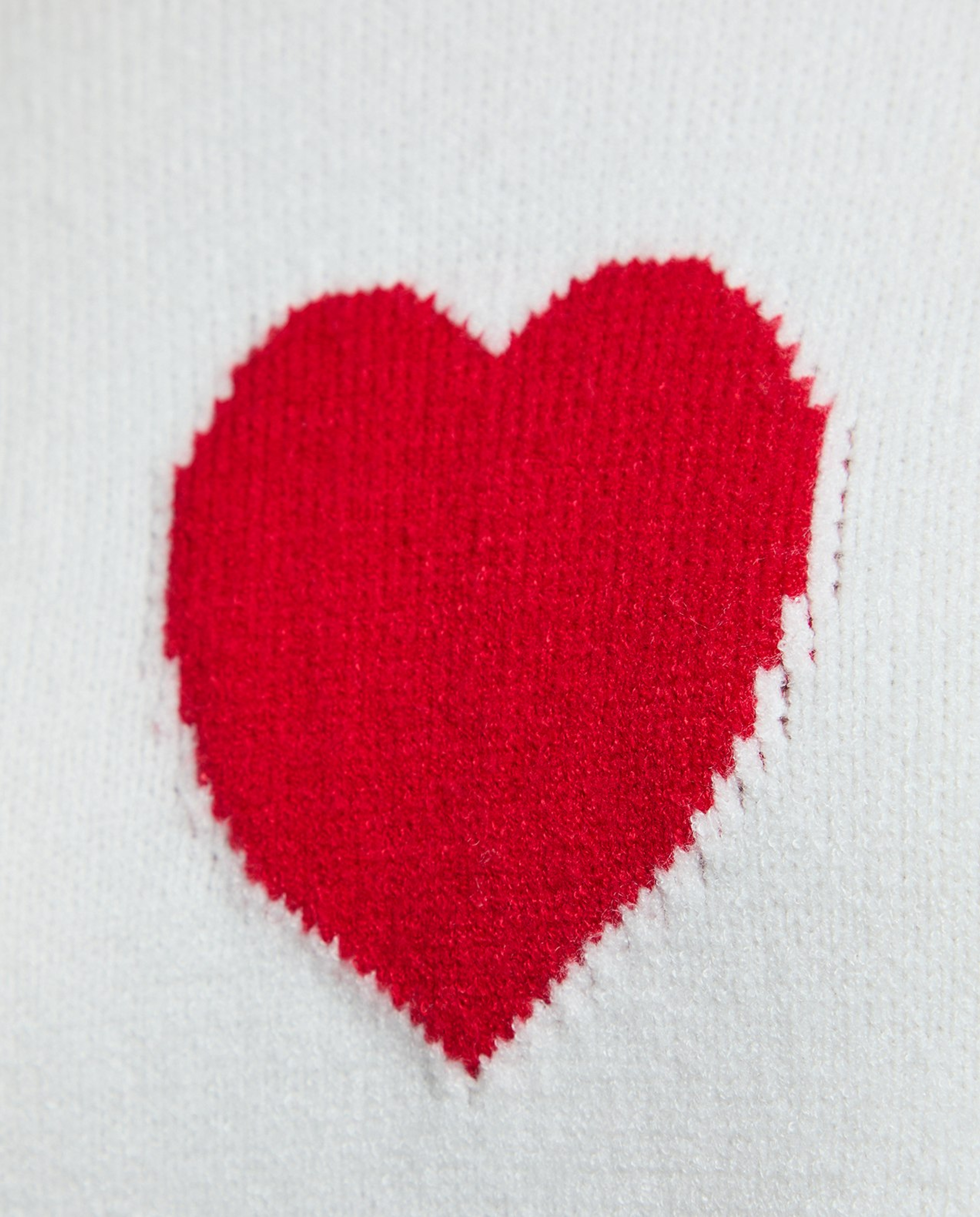 Heart Patterned Sweater with Crew Neck and Long Sleeves
