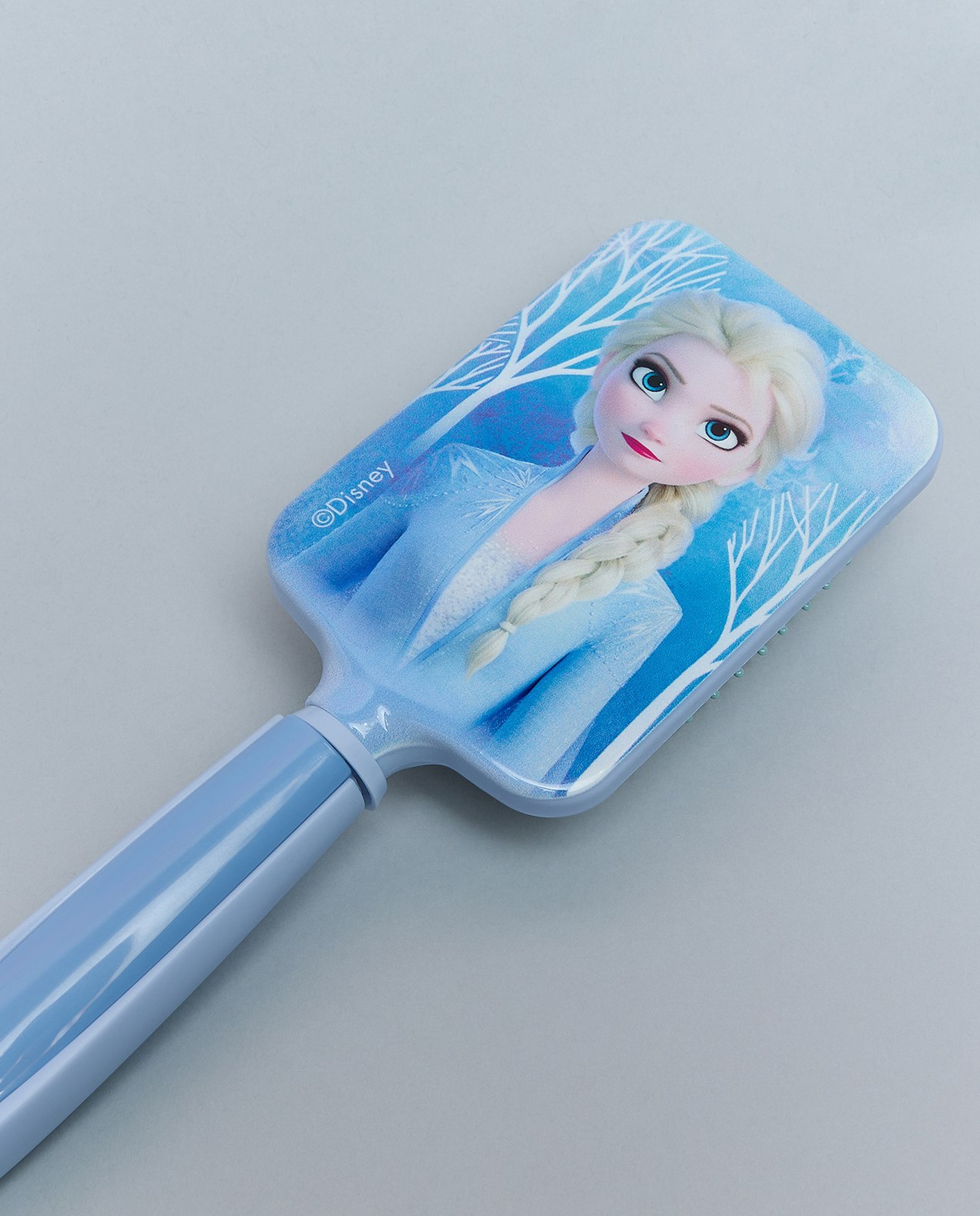 Frozen Paddle Brush
